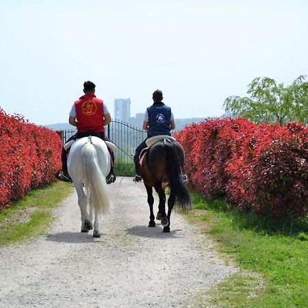 Vento Barocco - Equitazione E Turismo Villa Matera Ngoại thất bức ảnh