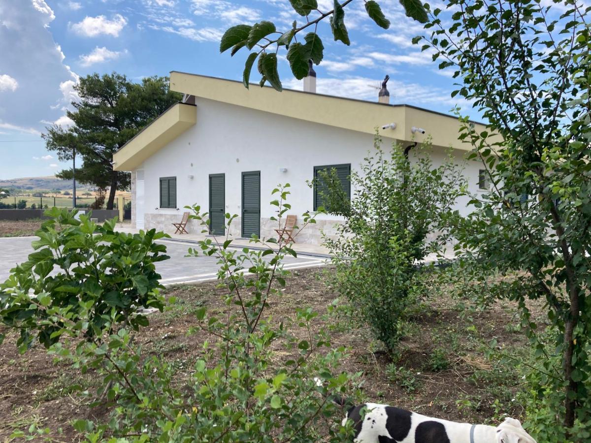 Vento Barocco - Equitazione E Turismo Villa Matera Ngoại thất bức ảnh