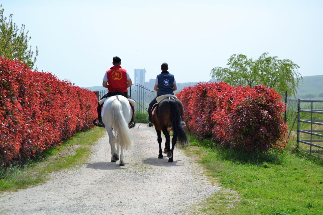 Vento Barocco - Equitazione E Turismo Villa Matera Ngoại thất bức ảnh